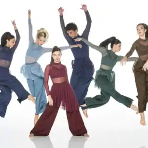 Six contemporary dancers pose in colorful sheer costumes.